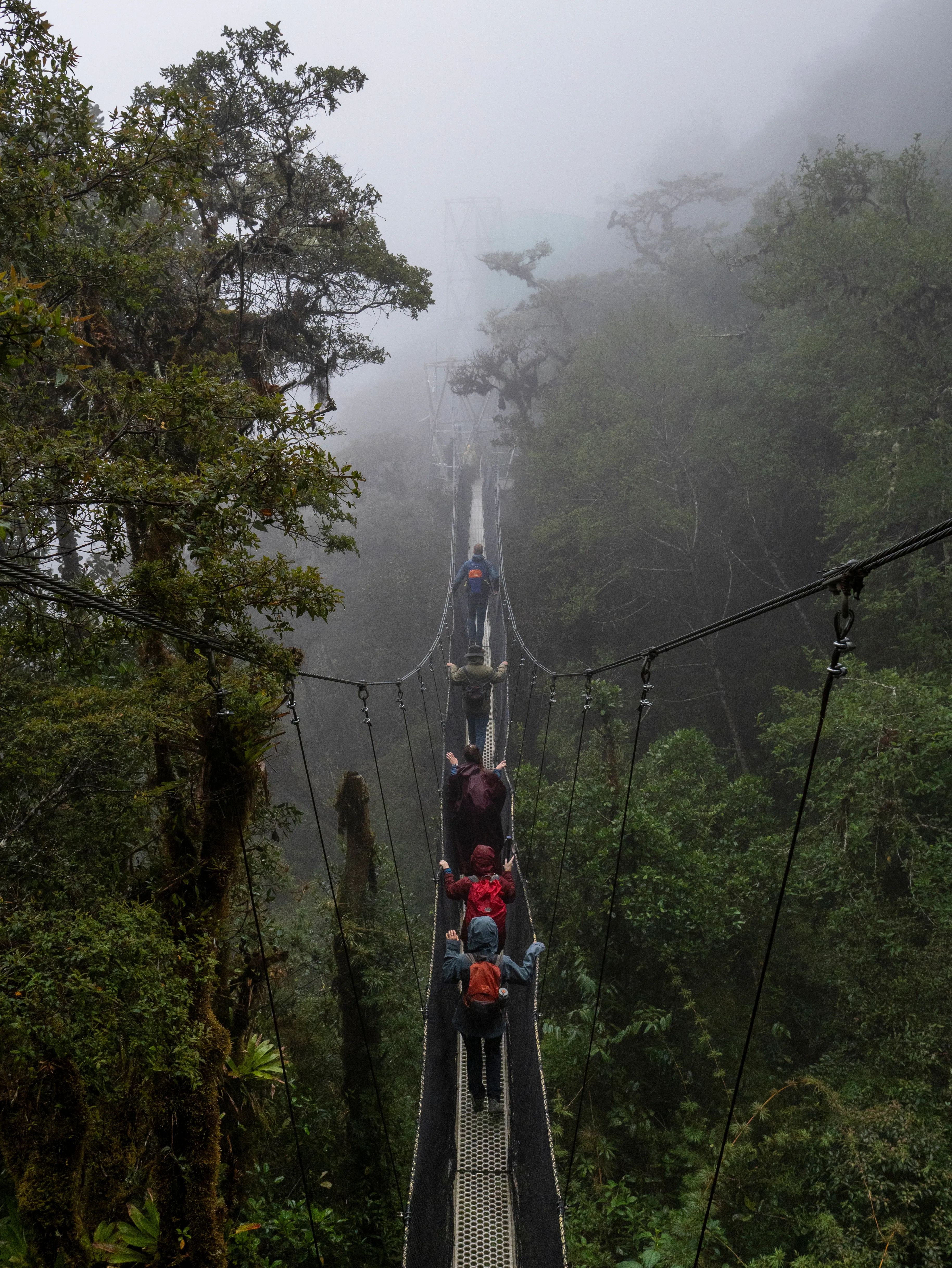 A woman smiling in a field of crops with soil in her outstretched hands