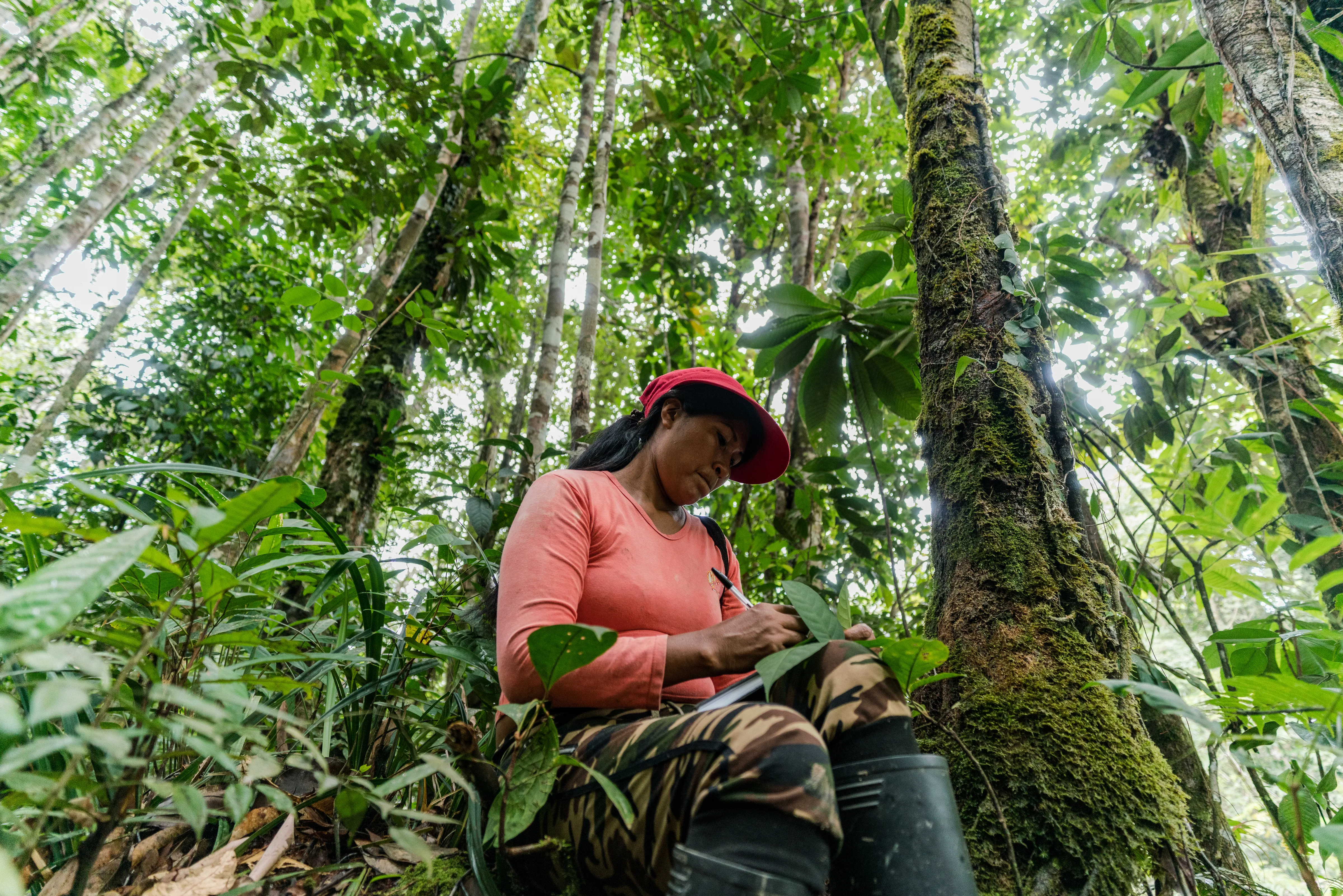 A woman sitting in a lush, green forest, writing in a notebook