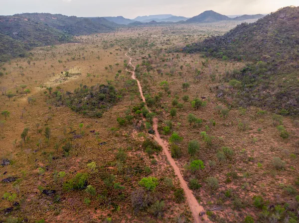 O Cerrado, Brasil